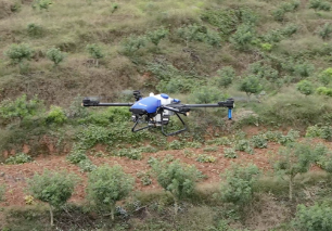Sichuan-Pfefferkorn 10 % Produktionssteigerung mit landwirtschaftlichen Drohnen von EAVISION
