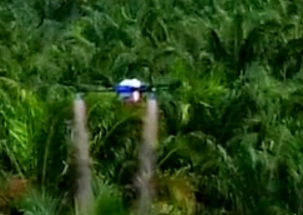 Chinesische landwirtschaftliche Drohnen, gehen Sie zum Sprühen nach Südostasien!
