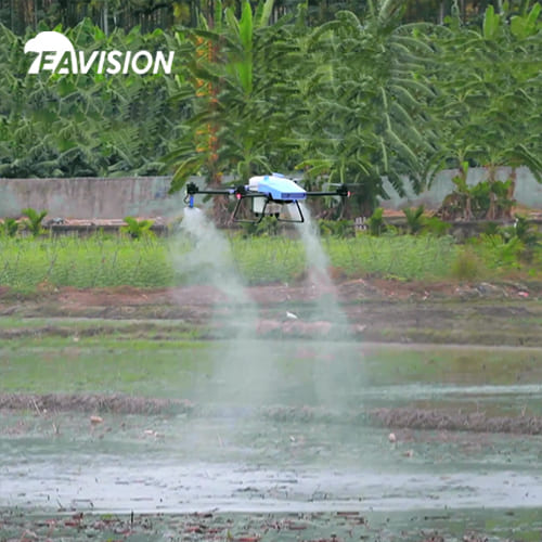 Drohne sprüht Sommermanagement und Schutz von Reisfeldern, um die Effizienz zu verbessern
