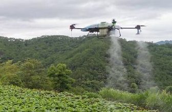 EAVISION landwirtschaftliches Pflanzenschutz-Drohnenspray auf Tabakfeldern
