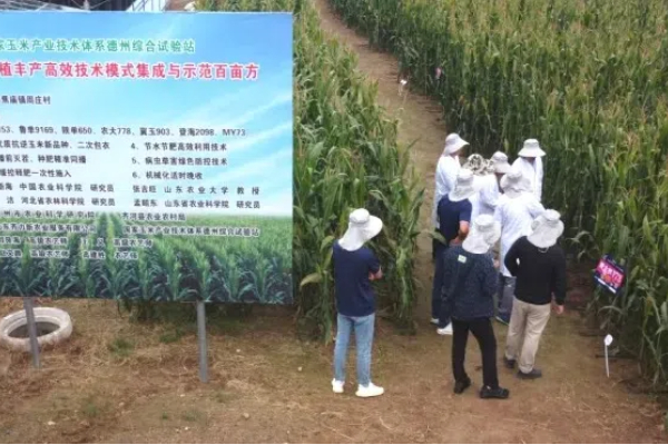 Eavision trägt zu höheren Sommermaiserträgen in der Region Huang-Huai-Hai bei