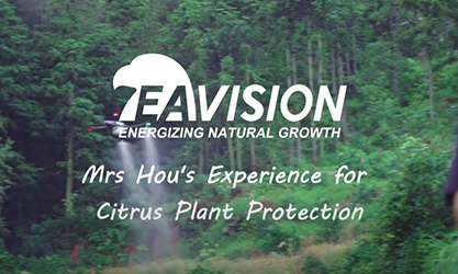 Frau Hous Erfahrung zum Schutz von Zitruspflanzen