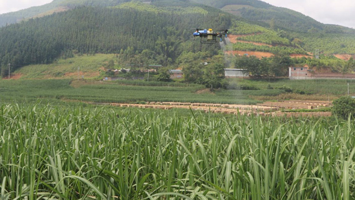 Die intelligenten landwirtschaftlichen Drohnen von EAvision haben bemerkenswerte Auswirkungen auf die Verhinderung von Zuckerrohrfliegen!