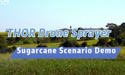 THOR Drohnensprühgerät für Zuckerrohr-Szenario-Demo (Brasilien)